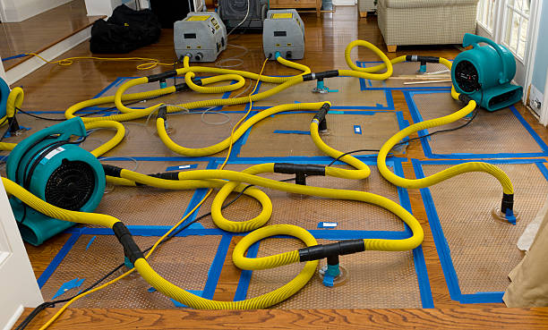 Professional Basement Flood Cleanup technician working in El Nido, CA